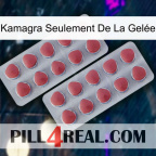 Kamagra Seulement De La Gelée 19